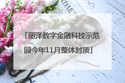 丽泽数字金融科技示范园今年11月整体封顶