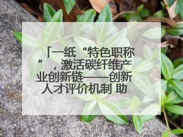 一纸“特色职称”，激活碳纤维产业创新链——创新人才评价机制 助推产业升级