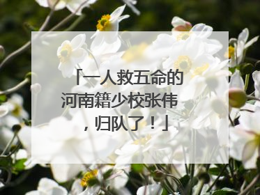 一人救五命的河南籍少校张伟，归队了！