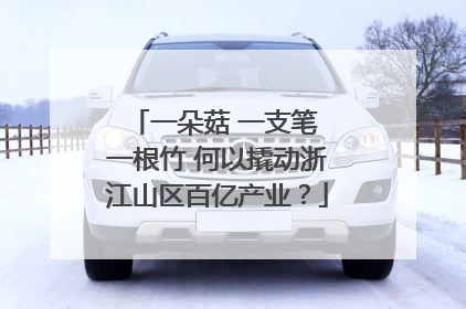 一朵菇 一支笔 一根竹 何以撬动浙江山区百亿产业？