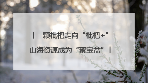 一颗枇杷走向“枇杷+” 山海资源成为“聚宝盆”