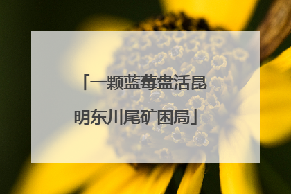 一颗蓝莓盘活昆明东川尾矿困局