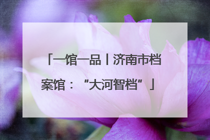 一馆一品丨济南市档案馆：“大河智档”