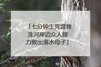 七分钟生死营救 淮河岸边众人接力救出落水母子