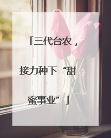 三代台农，接力种下“甜蜜事业”