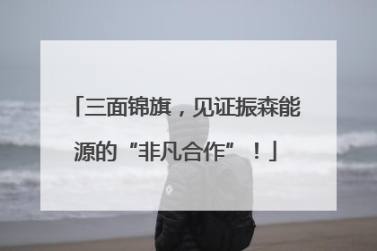 三面锦旗，见证振森能源的“非凡合作”！