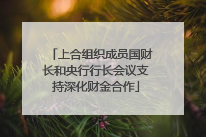 上合组织成员国财长和央行行长会议支持深化财金合作