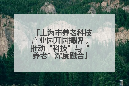 上海市养老科技产业园开园揭牌，推动“科技”与“养老”深度融合