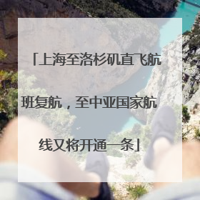 上海至洛杉矶直飞航班复航，至中亚国家航线又将开通一条