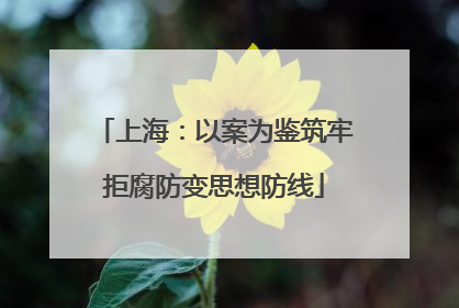 上海：以案为鉴筑牢拒腐防变思想防线