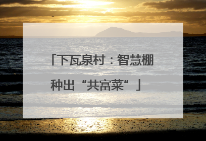 下瓦泉村：智慧棚种出“共富菜”