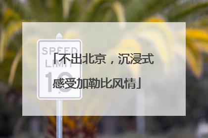 不出北京，沉浸式感受加勒比风情