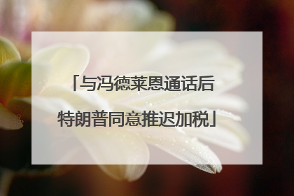 与冯德莱恩通话后 特朗普同意推迟加税