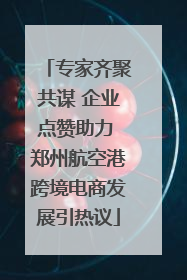 专家齐聚共谋 企业点赞助力 郑州航空港跨境电商发展引热议