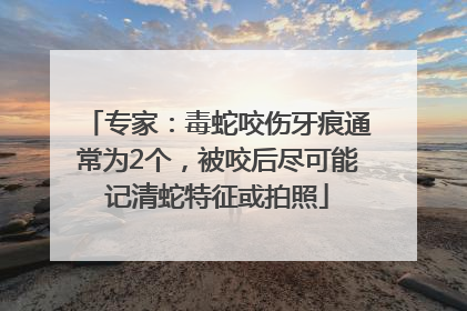 专家：毒蛇咬伤牙痕通常为2个，被咬后尽可能记清蛇特征或拍照