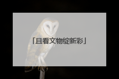 且看文物绽新彩