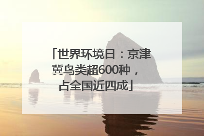 世界环境日：京津冀鸟类超600种，占全国近四成