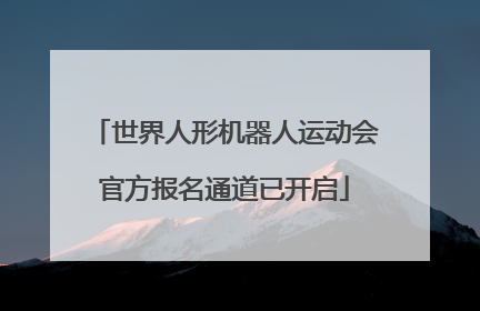 世界人形机器人运动会官方报名通道已开启