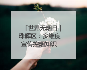 世界无烟日｜珠晖区：多维度宣传控烟知识 全方位共筑健康防线