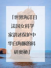 世界海洋日 法国女科学家讲述保护中华白海豚的科研奥秘