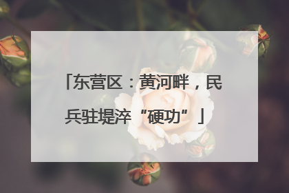 东营区：黄河畔，民兵驻堤淬“硬功”