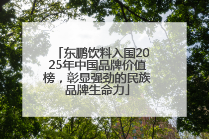 东鹏饮料入围2025年中国品牌价值榜，彰显强劲的民族品牌生命力