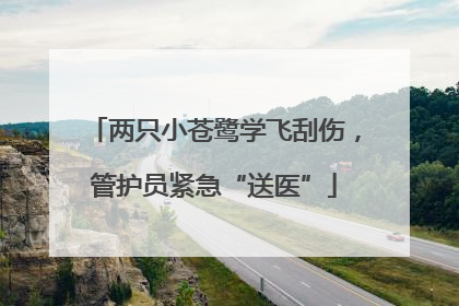 两只小苍鹭学飞刮伤，管护员紧急“送医”