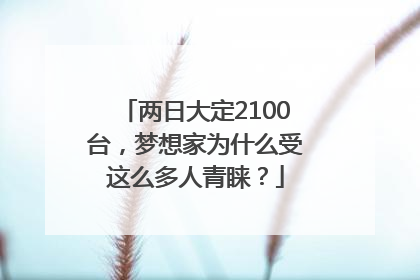 两日大定2100台，梦想家为什么受这么多人青睐？