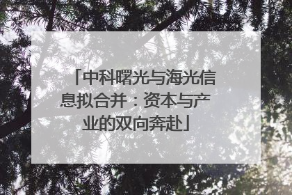 中科曙光与海光信息拟合并：资本与产业的双向奔赴