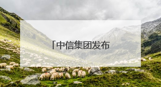 中信集团发布严正声明！