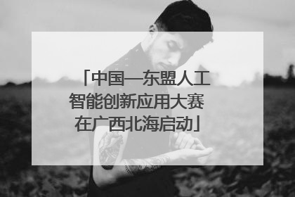 中国—东盟人工智能创新应用大赛在广西北海启动