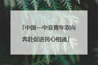 中国—中亚青年双向奔赴促进民心相通