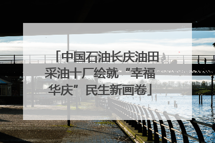 中国石油长庆油田采油十厂绘就“幸福华庆”民生新画卷