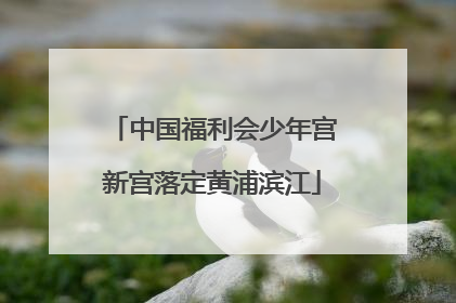 中国福利会少年宫新宫落定黄浦滨江