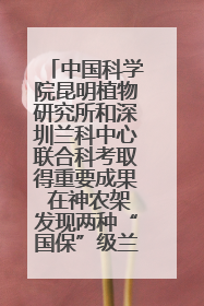 中国科学院昆明植物研究所和深圳兰科中心联合科考取得重要成果 在神农架发现两种“国保”级兰花