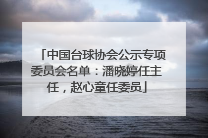 中国台球协会公示专项委员会名单：潘晓婷任主任，赵心童任委员