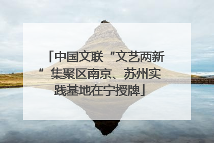 中国文联“文艺两新”集聚区南京、苏州实践基地在宁授牌