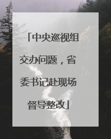 中央巡视组交办问题，省委书记赴现场督导整改