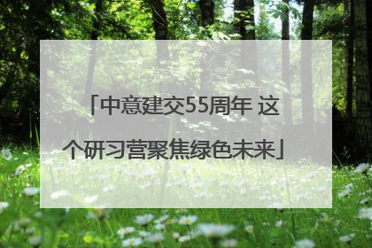 中意建交55周年 这个研习营聚焦绿色未来