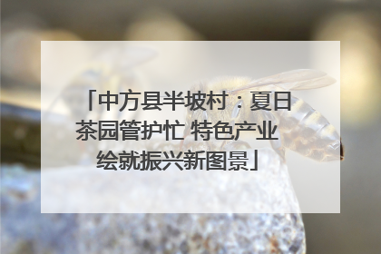 中方县半坡村：夏日茶园管护忙 特色产业绘就振兴新图景