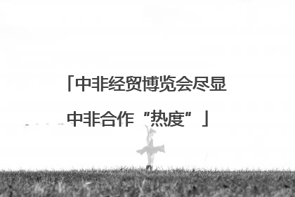 中非经贸博览会尽显中非合作“热度”