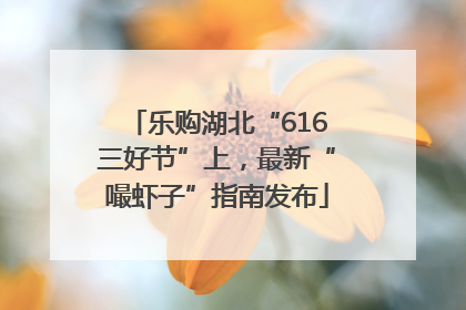 乐购湖北“616三好节”上，最新“嘬虾子”指南发布