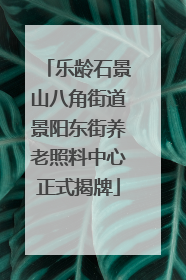 乐龄石景山八角街道景阳东街养老照料中心正式揭牌