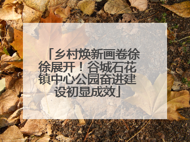 乡村焕新画卷徐徐展开！谷城石花镇中心公园奋进建设初显成效