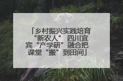 乡村振兴实践培育“新农人” 四川宜宾“产学研”融合把课堂“搬”到田间