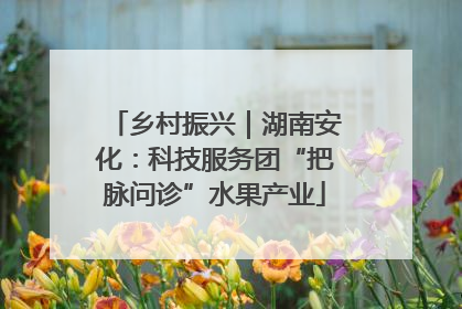 乡村振兴｜湖南安化：科技服务团“把脉问诊”水果产业