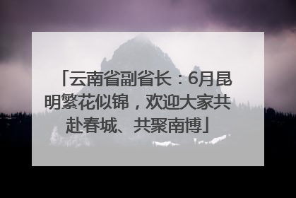 云南省副省长：6月昆明繁花似锦，欢迎大家共赴春城、共聚南博