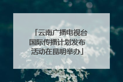 云南广播电视台国际传播计划发布活动在昆明举办