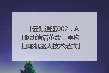 云鲸逍遥002：AI驱动清洁革命，重构扫地机器人技术范式