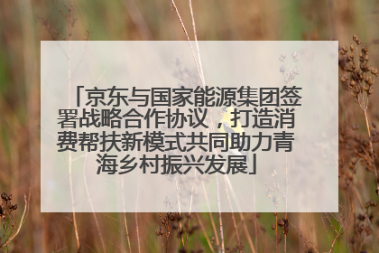京东与国家能源集团签署战略合作协议，打造消费帮扶新模式共同助力青海乡村振兴发展